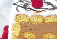 The Easiest & Best Chocolate Mouse Cake Ever