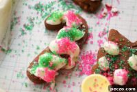 Zesty Orange Spiced Gingerbread Cookies