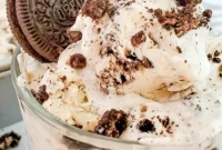 Quick and Easy Cookies and Cream Ice Cream Bliss