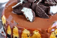 Delicious Instant Pot Oreo Cheesecake Made Easy