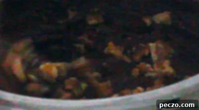img 1062 12