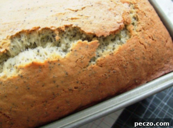 Delicious Lemon Poppyseed Cake slices ready to be served on a snowy day