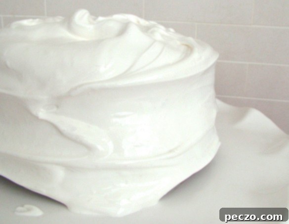 Katharine's Cake - A delicious low-fat chocolate cake