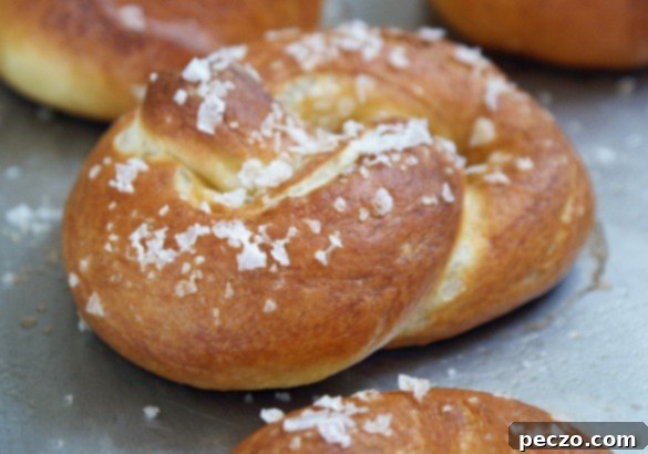 Twisted and Rolled Pretzel Delights 1 SONY DSC