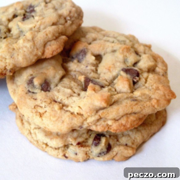 Chocolate_Chip