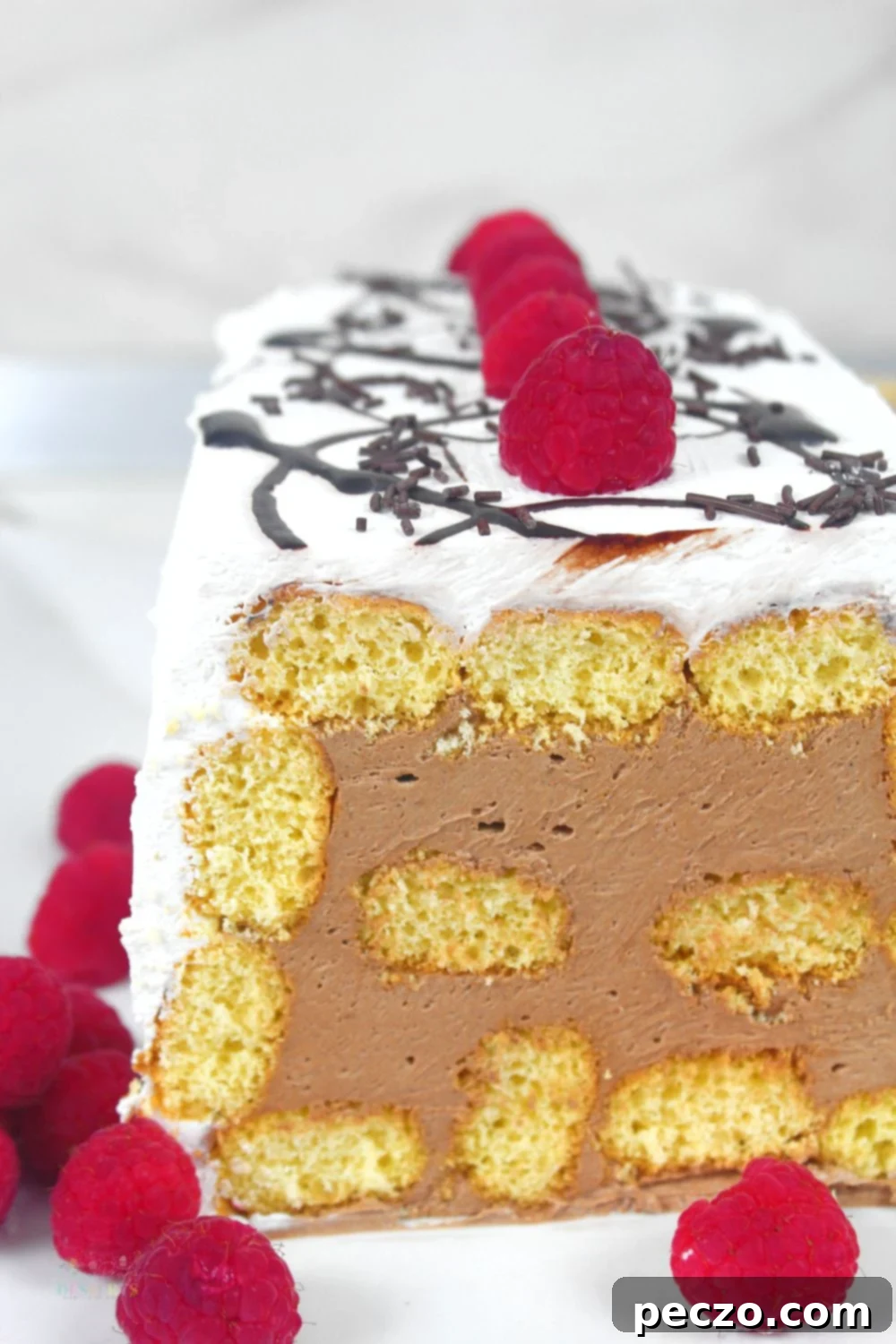 Choco mousse cake - a delightful no-bake dessert