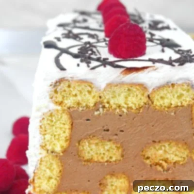The Easiest & Best Chocolate Mouse Cake Ever 8 Choco mousse cake