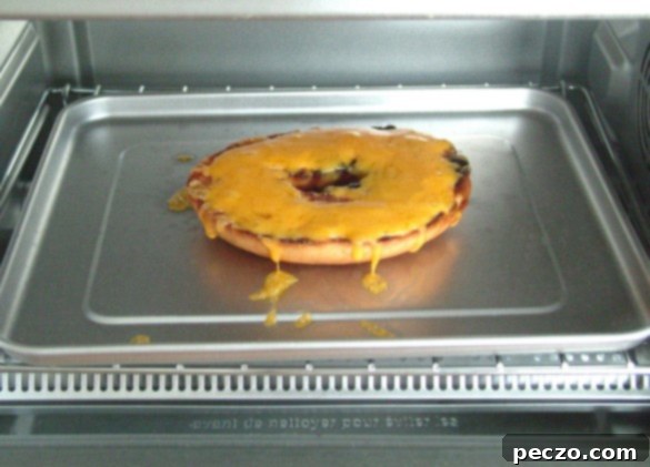 Cheese bagel freshly baked with melted cheese
