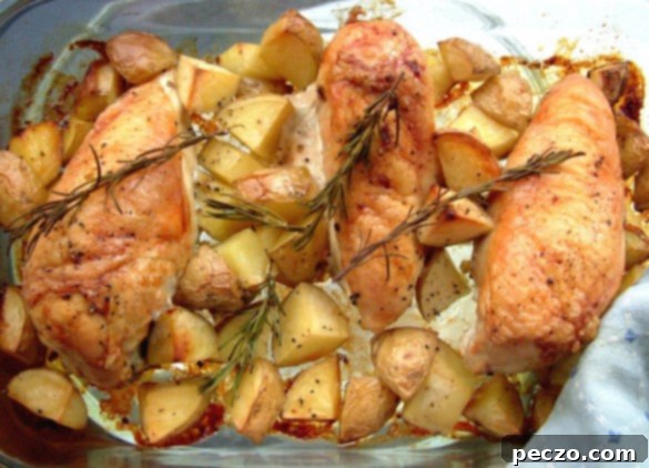 Golden brown roasted chicken and cubed Yukon Gold potatoes with fresh rosemary sprigs
