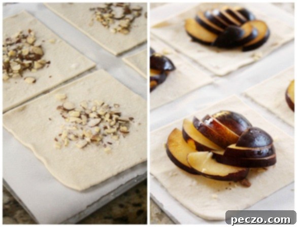 plum tart Collage