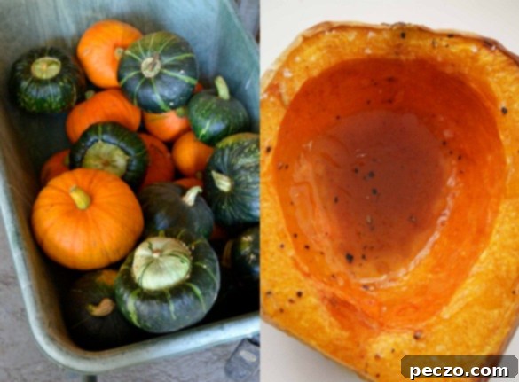 A collage of fresh butternut squash, whole and halved, ready for cooking