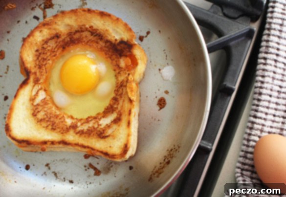 eggs in a nest 8