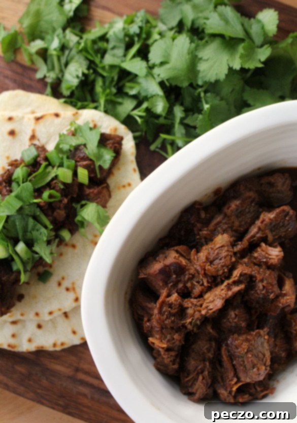 Barbacoa beef 1