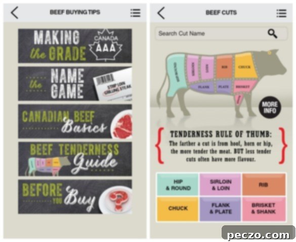 beef app 1