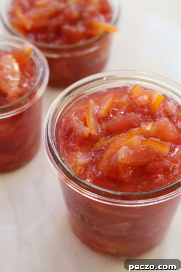 meyer lemon rhubarb marmalade 1