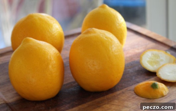 meyer lemons