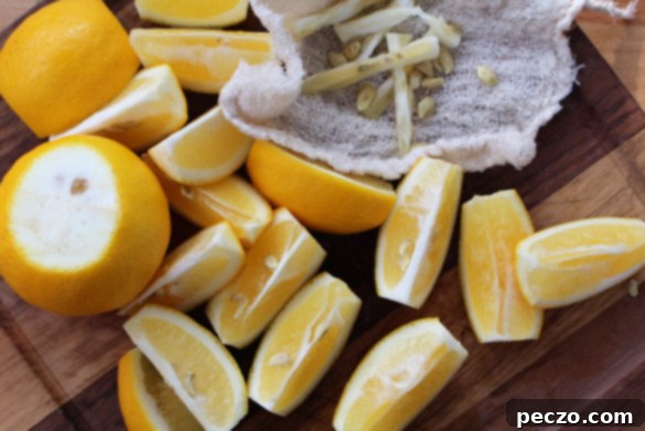 sliced meyer lemons 2