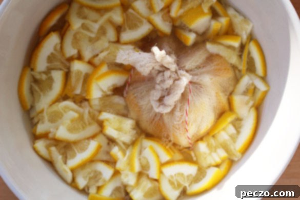 meyer lemon marmalade 2