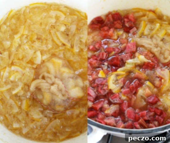 meyer lemon rhubarb Collage