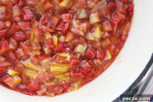 meyer lemon rhubarb marmalade 4