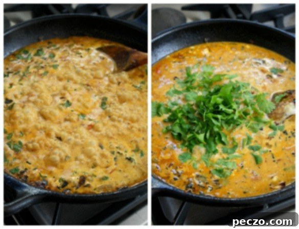 Curry Collage