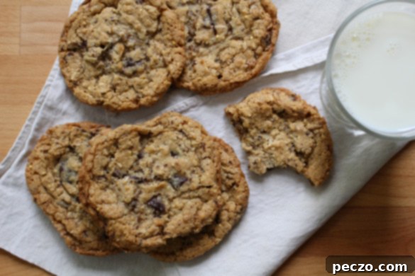 A close-up shot of the raw cookie dough for Mona's Mother's Best Friend's Favourite Cookies, showing the rich texture with oats, chocolate chips, and coconut flakes visibly mixed in.