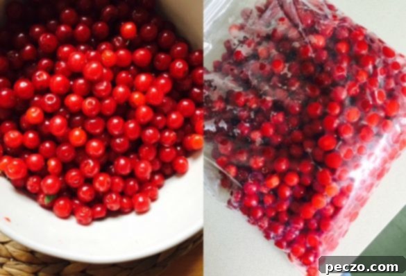 nanking-cherries-1