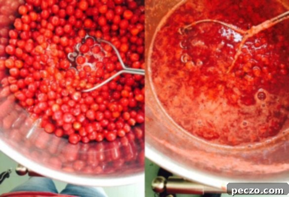 nanking jelly 1