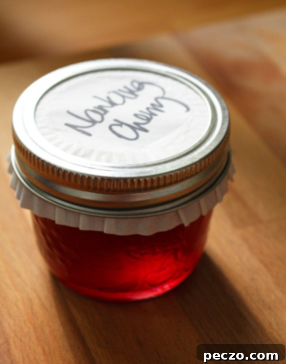nanking cherry jam 2