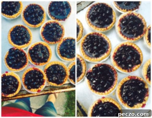 Blueberry tarts