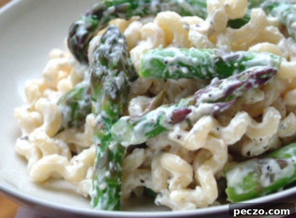 Fresh Asparagus Boursin Pasta