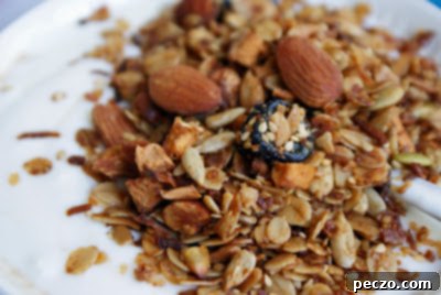 Granola & Yogurt - A close-up image of a bowl of crunchy granola mixed with creamy yogurt, possibly topped with fresh fruit, illustrating a healthy and delicious snack.