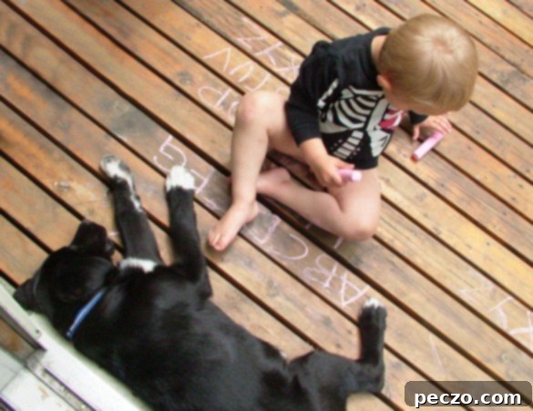A boy and his dog