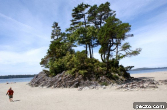 Tonquin Island Beach Tofino BC