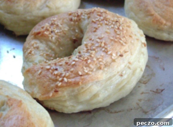 Freshly baked homemade bagels cooling on a rack, showing a perfect golden-brown crust