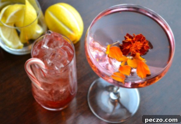 Micah's CIN Cocktails 1