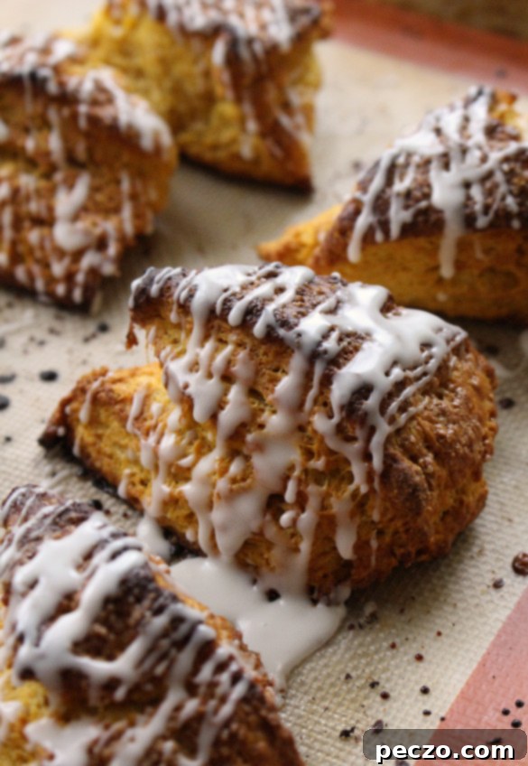 Delicious Pumpkin Scones with a Craggly Edge