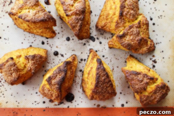 Close-up of baked pumpkin scones showing texture