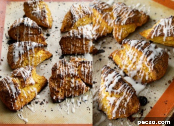 Pumpkin scones collage with various angles and textures