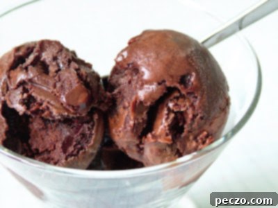 A beautifully presented bowl of homemade chocolate sorbet, garnished with fresh mint leaves.