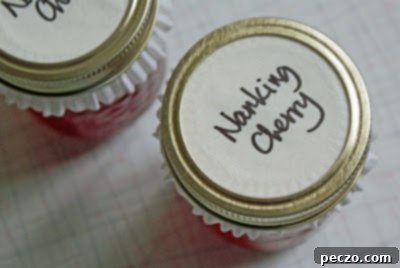 Nanking cherry jam top