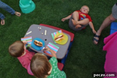 Sweet Cherry Hand Pies, Tangy Sour Cream Ice Cream 8 Children sitting at a picnic table during a barbecue