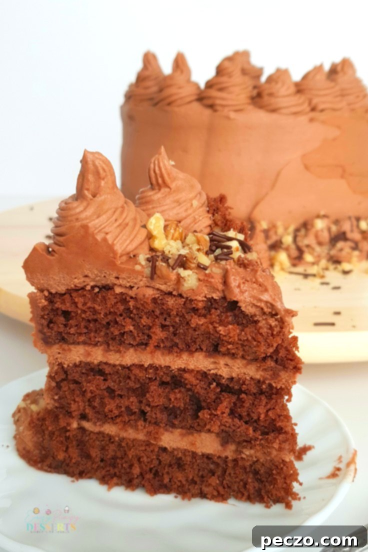 Rich chocolate cake layers with frosting