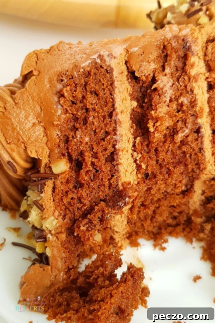 Delicious chocolate cake with garnishes