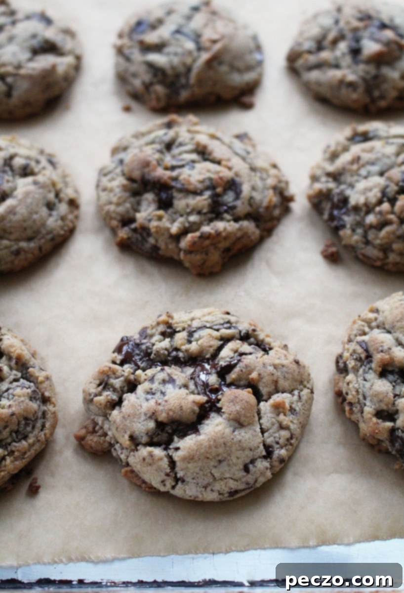Puddle of chocolate cookies