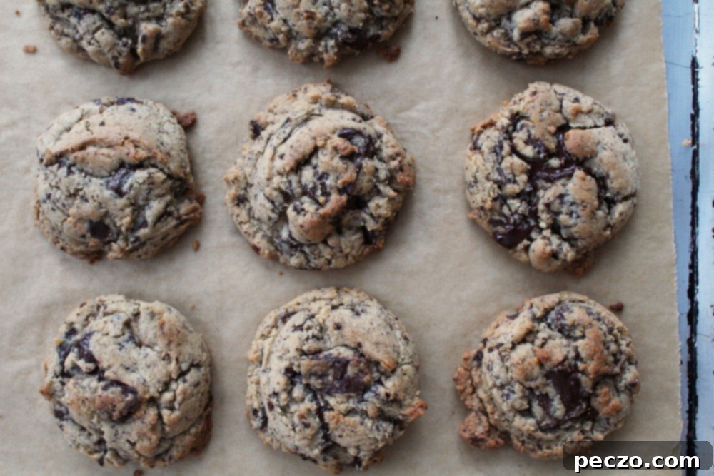 Puddle of chocolate cookies 2