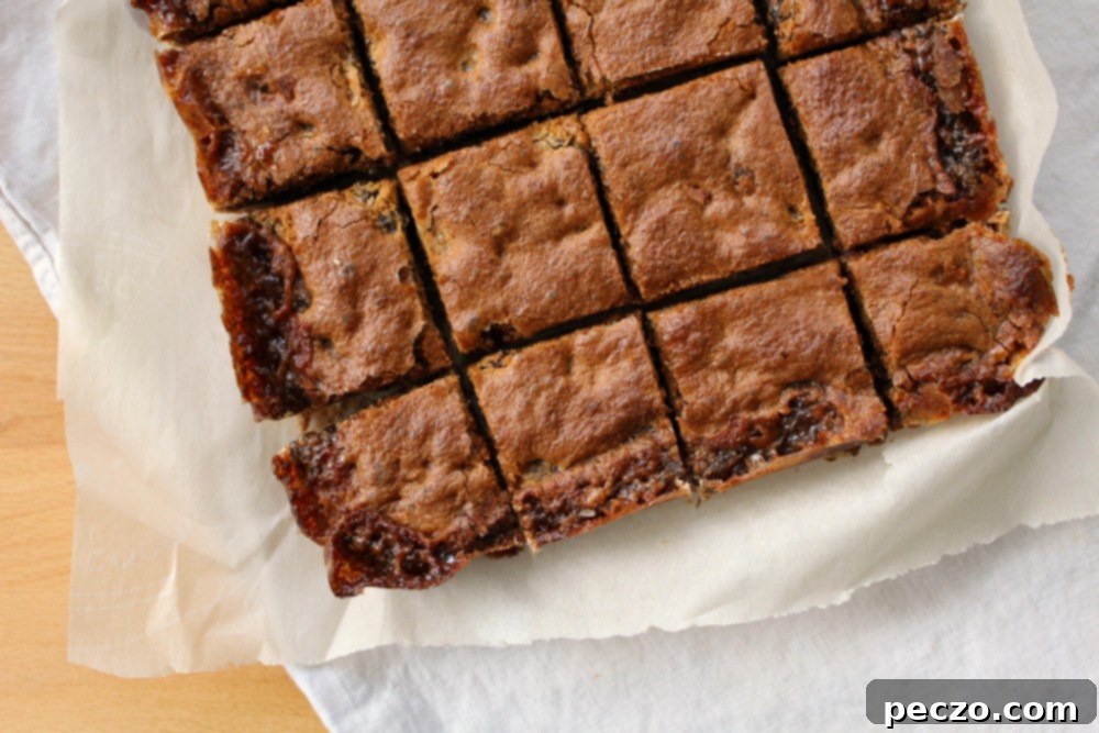 raisin bars 4