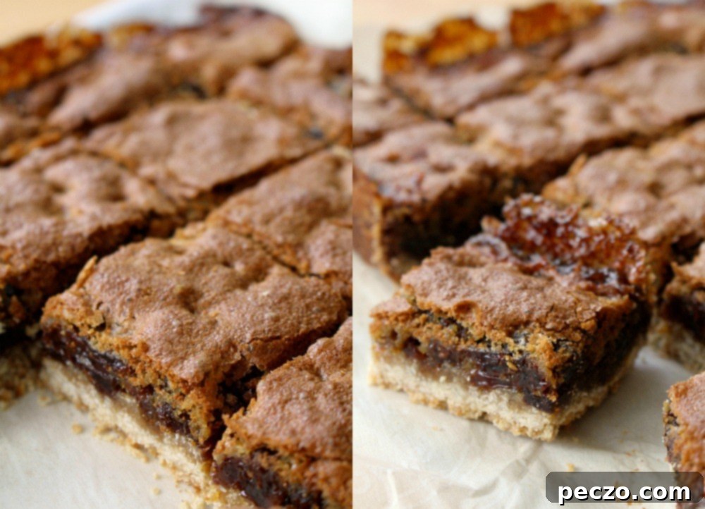Raisin bars 5