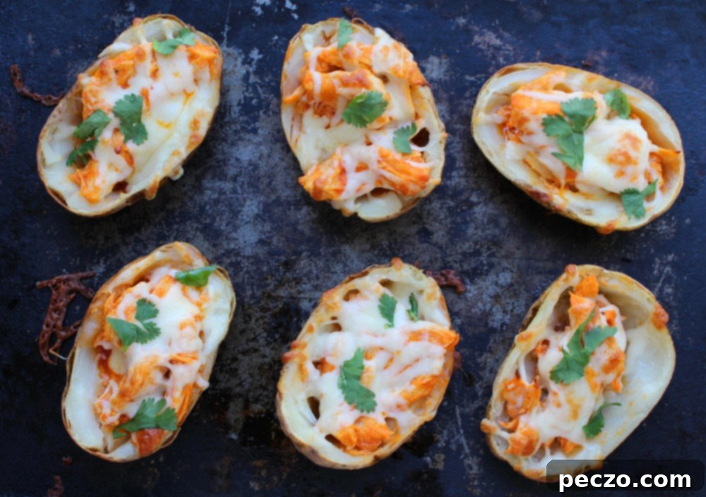 buffalo chicken potato skins 1