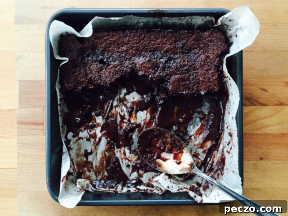 chocolate pudding cake 2
